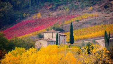 Chianti, Tuscany, Italy - desktop wallpaper