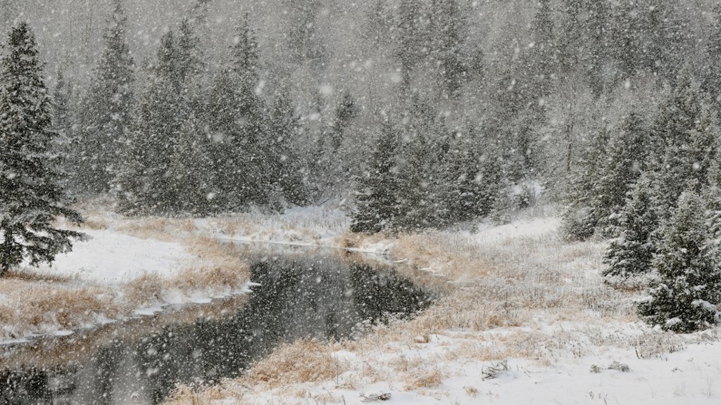 Junction Creek, ON, Canada - desktop wallpaper