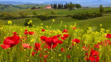 Orcia Valley in Spring, Tuscany, Italy - desktop wallpaper