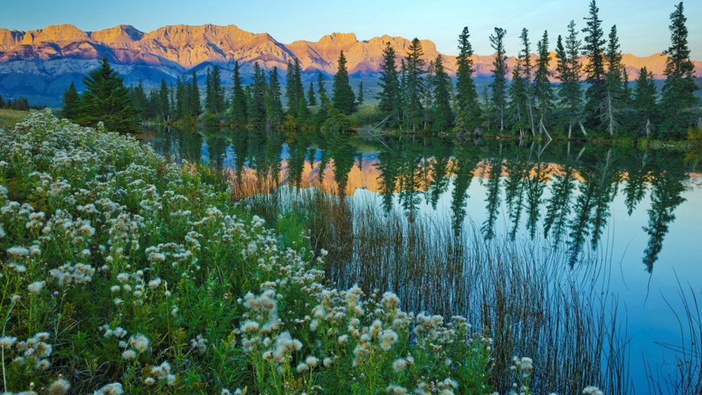 Talbot Lake, Jasper National Park, Canada - desktop wallpaper