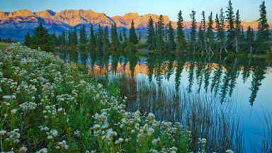 Talbot Lake, Jasper National Park, Canada - desktop wallpaper