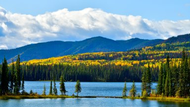 Jarvis Lake, William A Switzer PP, Alberta, Canada - desktop wallpaper