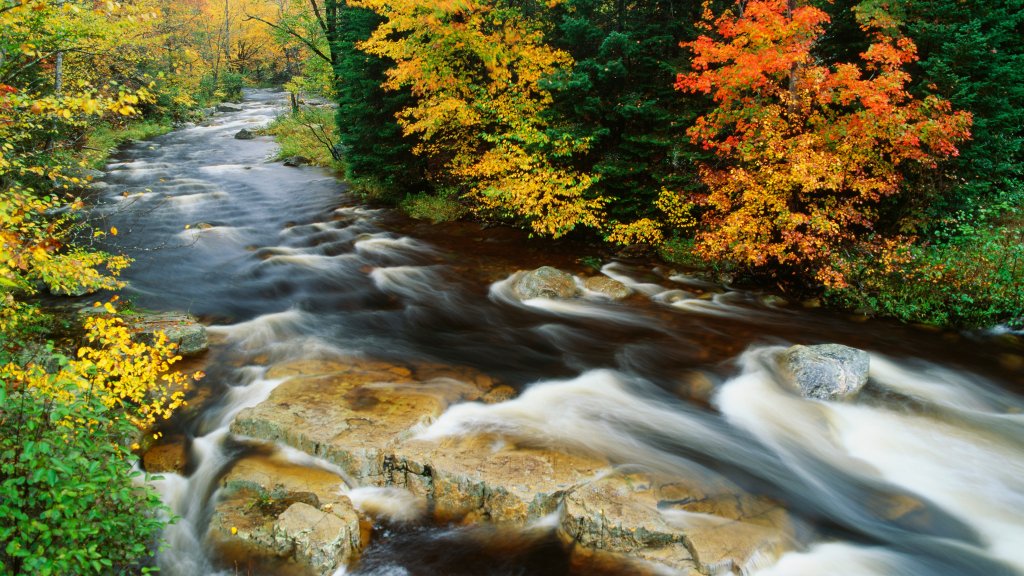 Stream Flowing Through a Forest, Vermont - desktop wallpaper