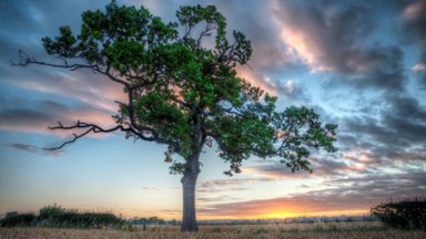 Nottingham, UK - desktop wallpaper