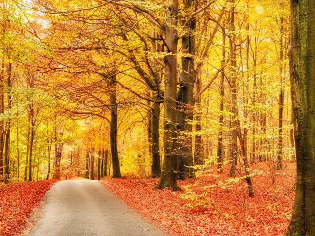 640x480.jpg