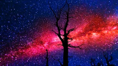 Milky Way in Bryce Canyon, Utah - desktop wallpaper