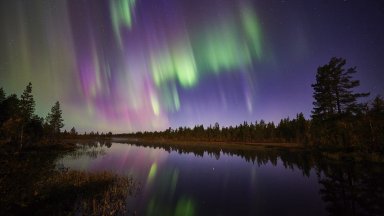 Northern Lights, Norrbotten, Lapland, Sweden - desktop wallpaper