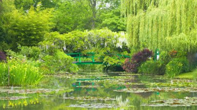 Monets Bridge, Gardens at Giverny, France - desktop wallpaper