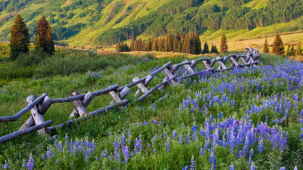 Crested Butte, CO - desktop wallpaper
