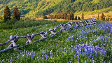 Crested Butte, CO - desktop wallpaper