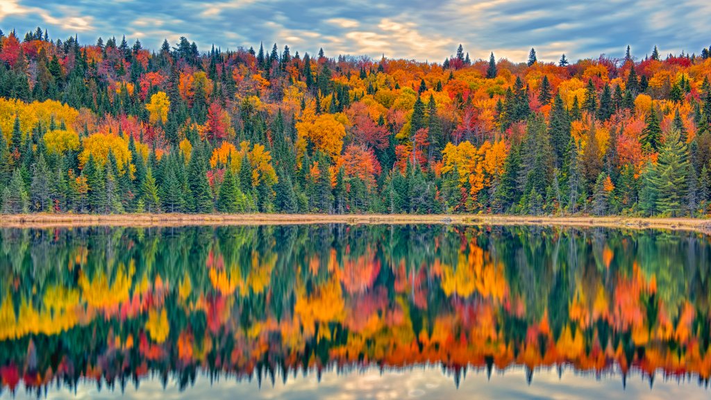 La Mauricie National Park, Quebec, Canada - desktop wallpaper