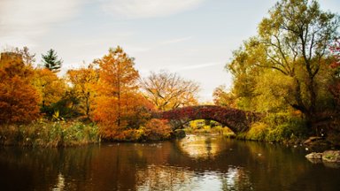 Central Park, New York City, New York - desktop wallpaper