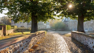 Schlosshof Doben, Grimma, Saxony, Germany - desktop wallpaper