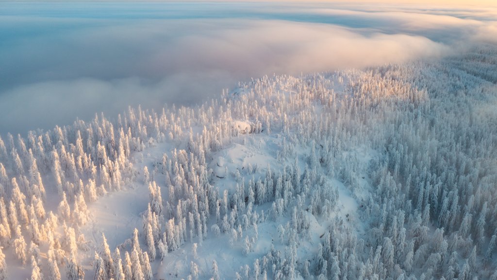 Koli, Lieksa, Finland - desktop wallpaper