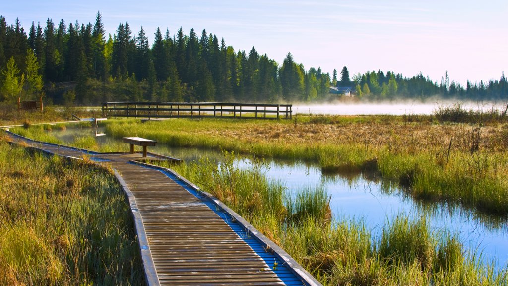 Maxwell Lake, Hinton, Canada - desktop wallpaper