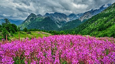 Bernina Alps, Lombardy, Italy - desktop wallpaper